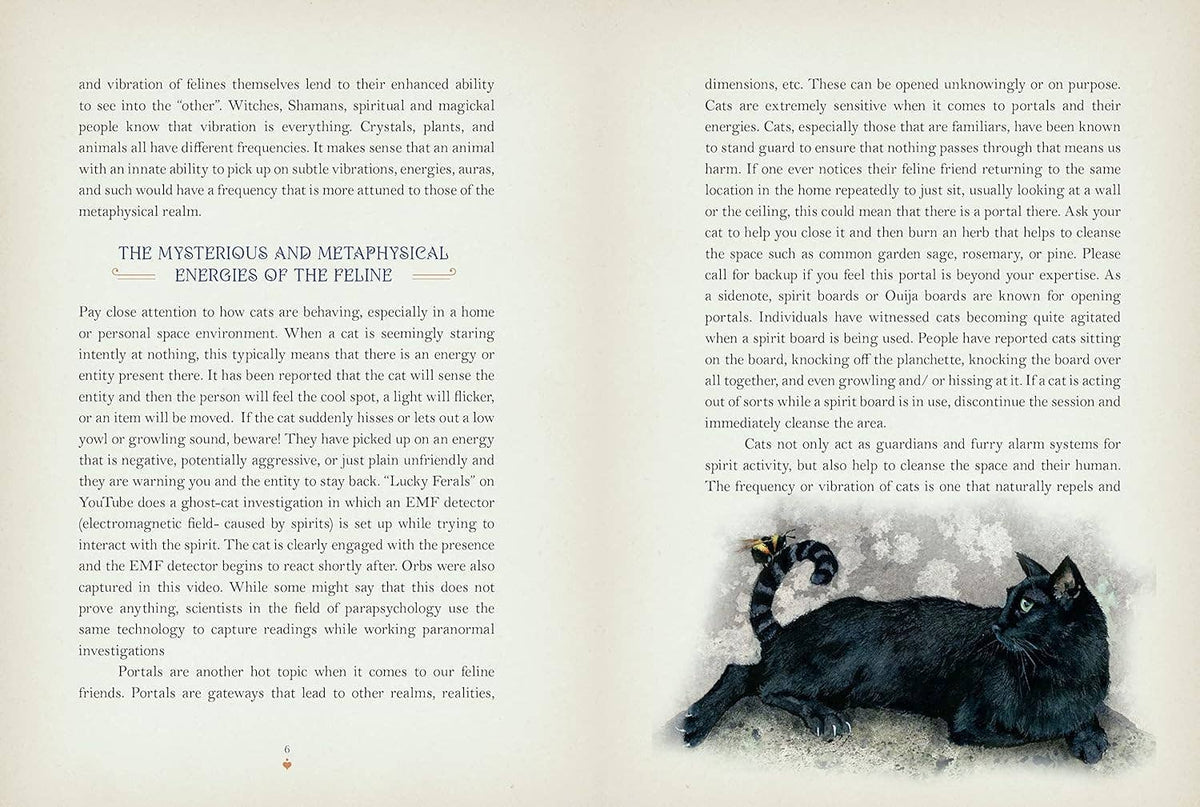 Cat Magick