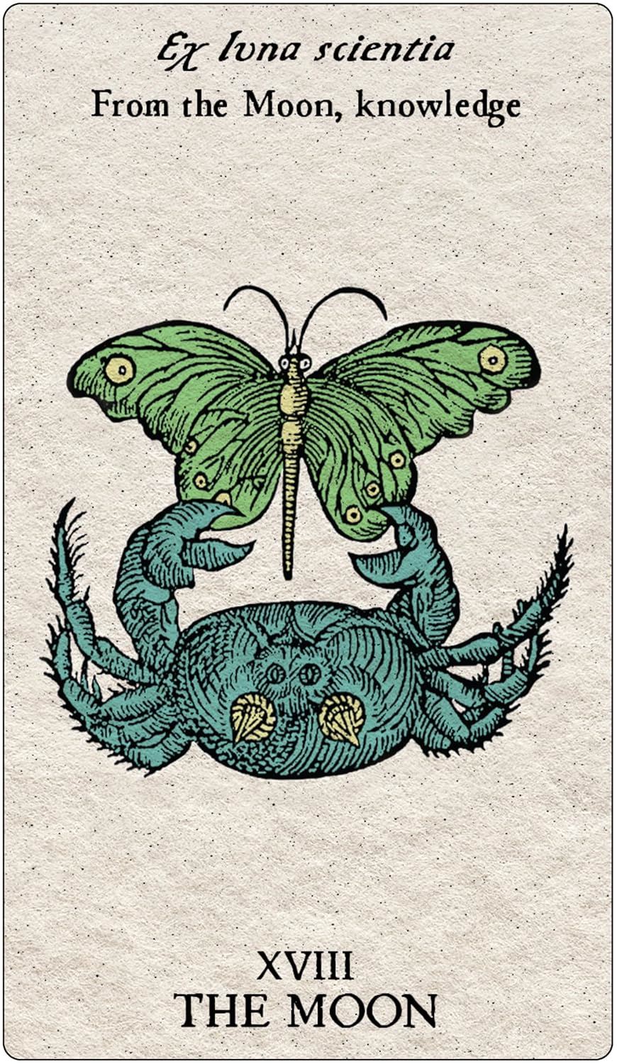 TAROT EMBLEMATA (DECK AND GUIDEBOOK)