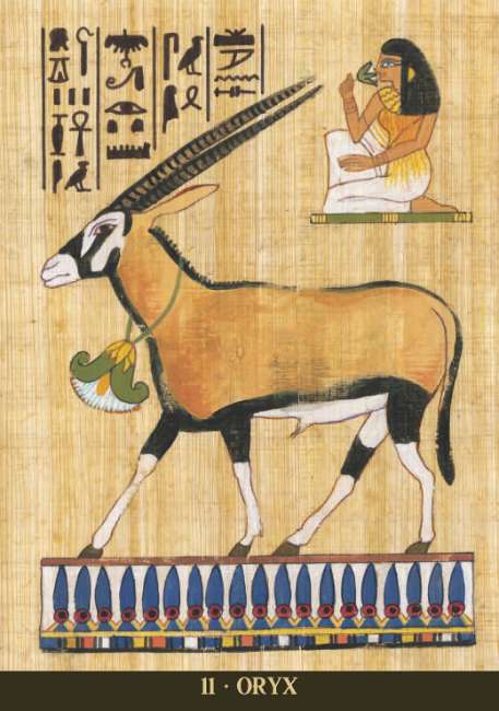 Egyptian Sacred Animals Oracle Deck
