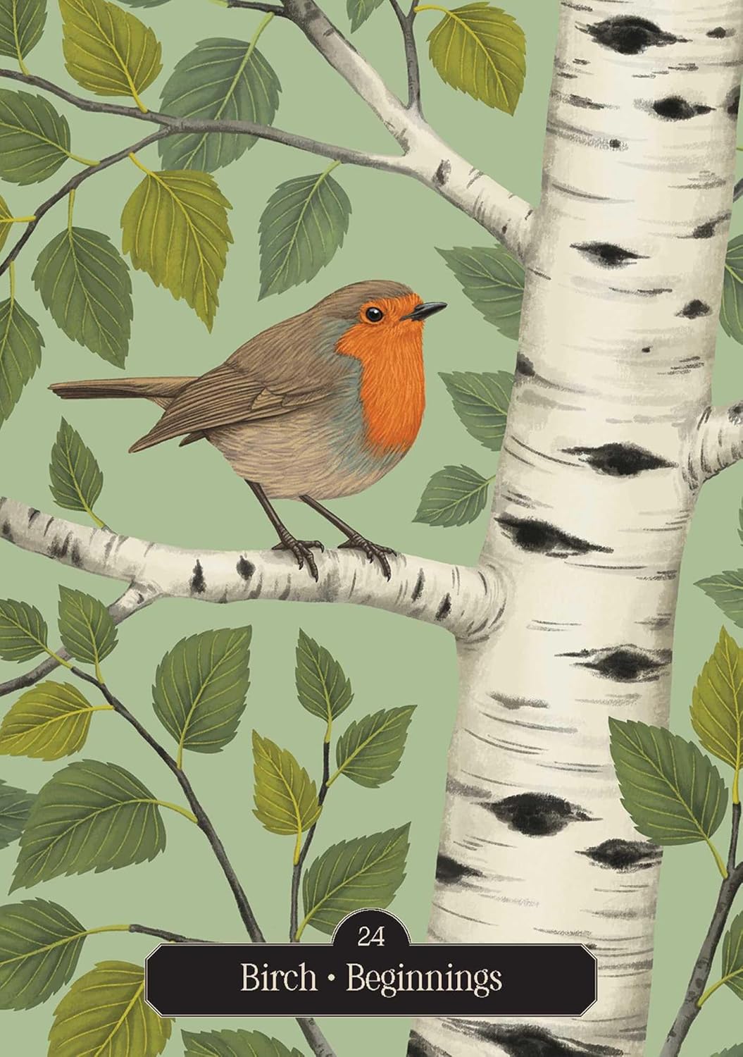 Hedgewitch Oracle