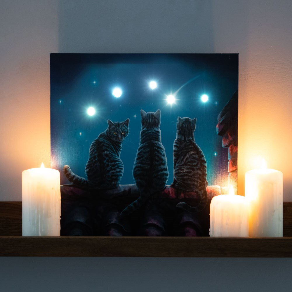 Cat Light Up Canvas