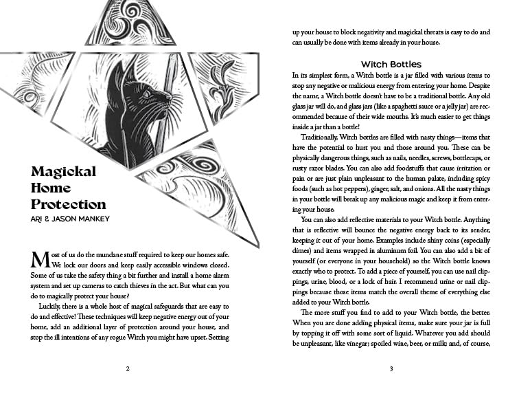 Llewellyn's 2027 Witches' Companion Datebook