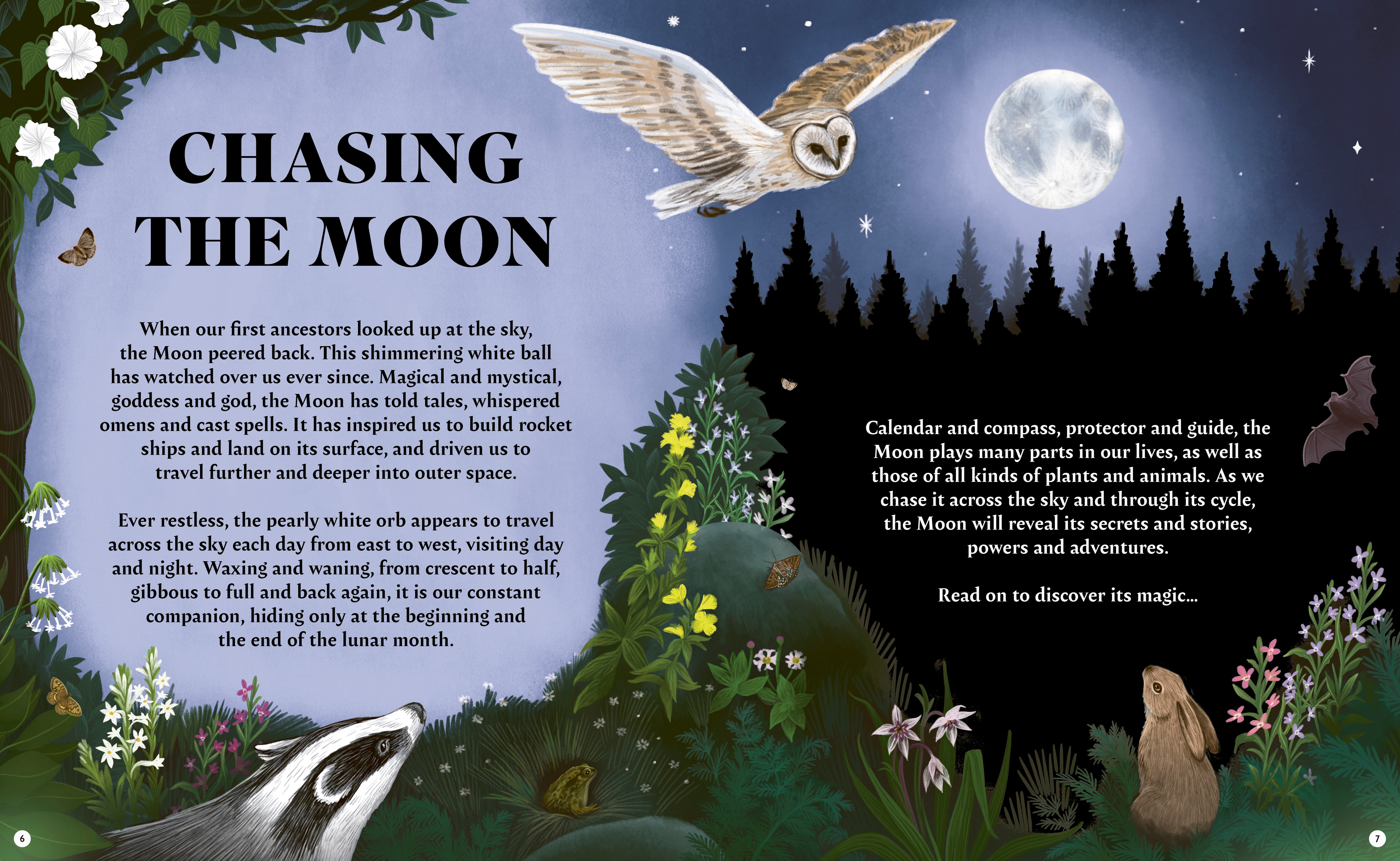 Chasing The Moon