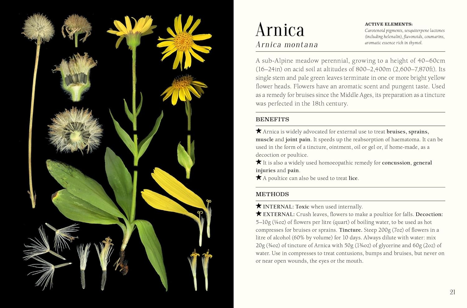 Pocket Book Of Plants That Heal