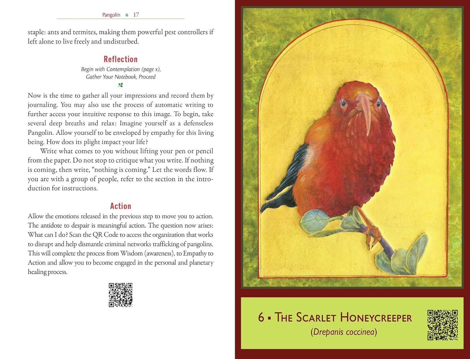 Sacred Biodiversity Oracle