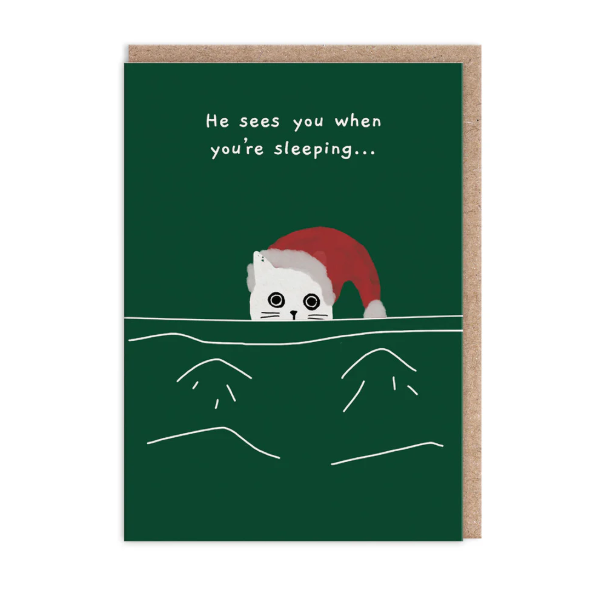 He Sees You When You're Sleeping Cat Christmas Card