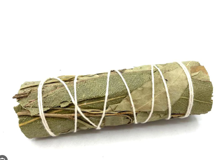 White Sage & Eucalyptus Smudge (4 Inch)