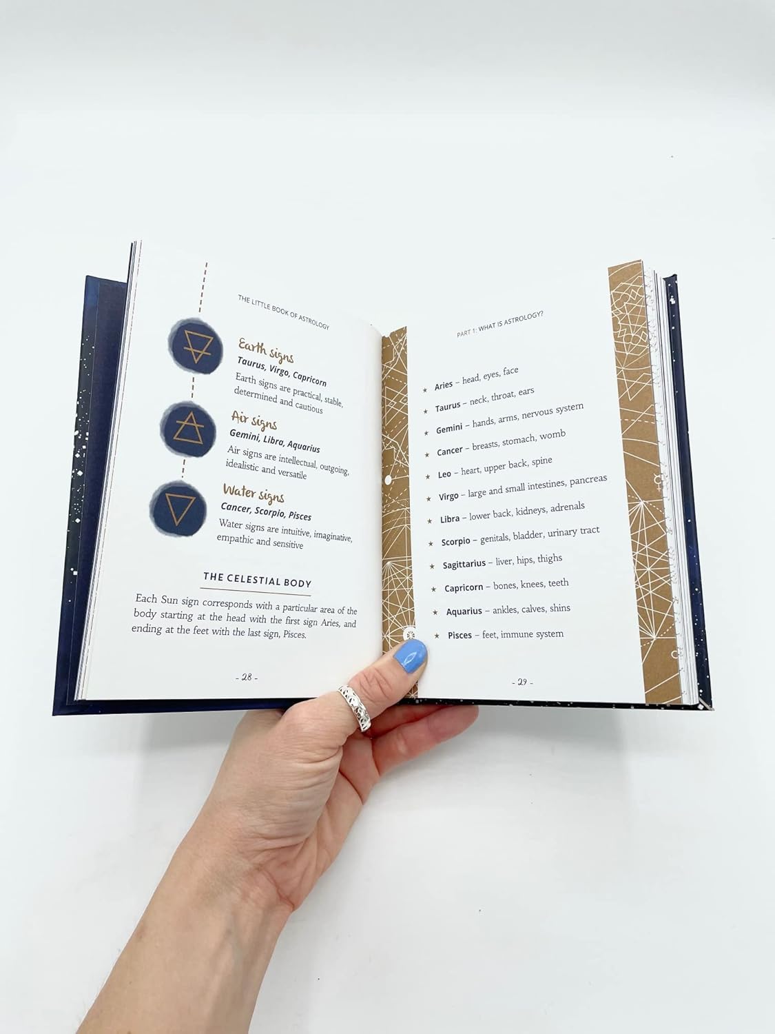 The Little Book of Astrology