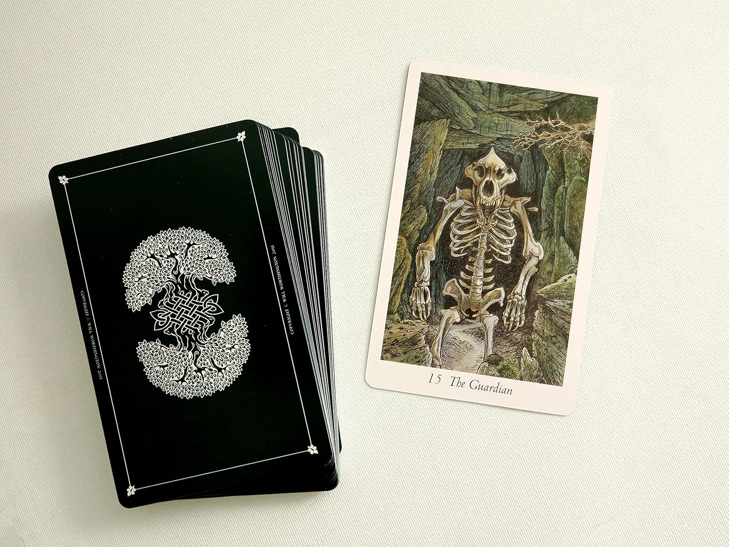 The Wild Wood Tarot
