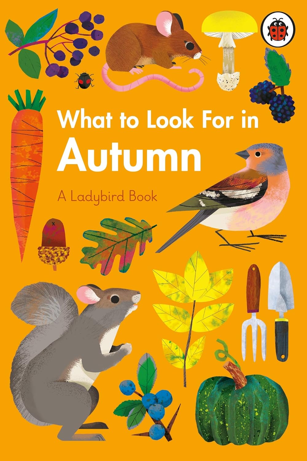 What To Look For In Autumn