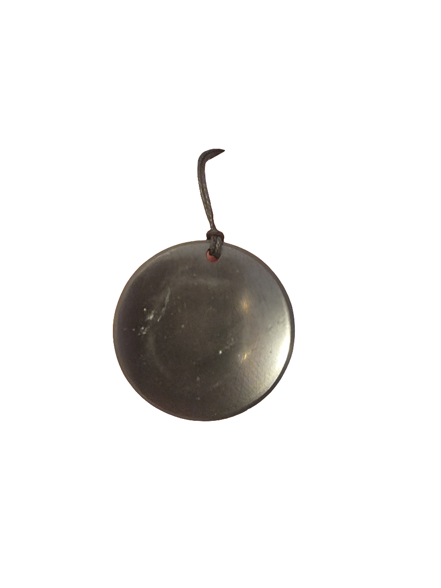 Shungite Round Pendant