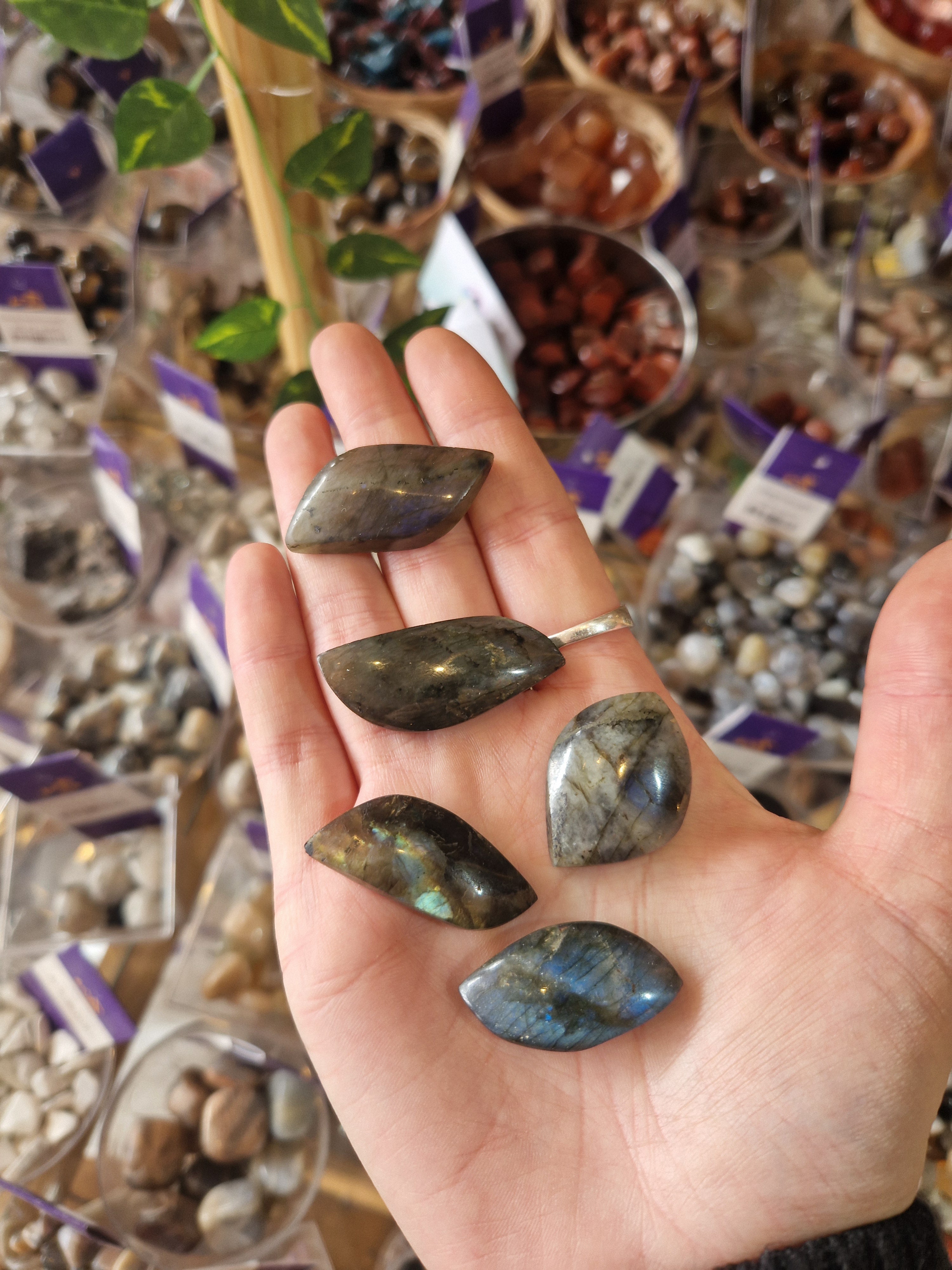 Labradorite Cabochon