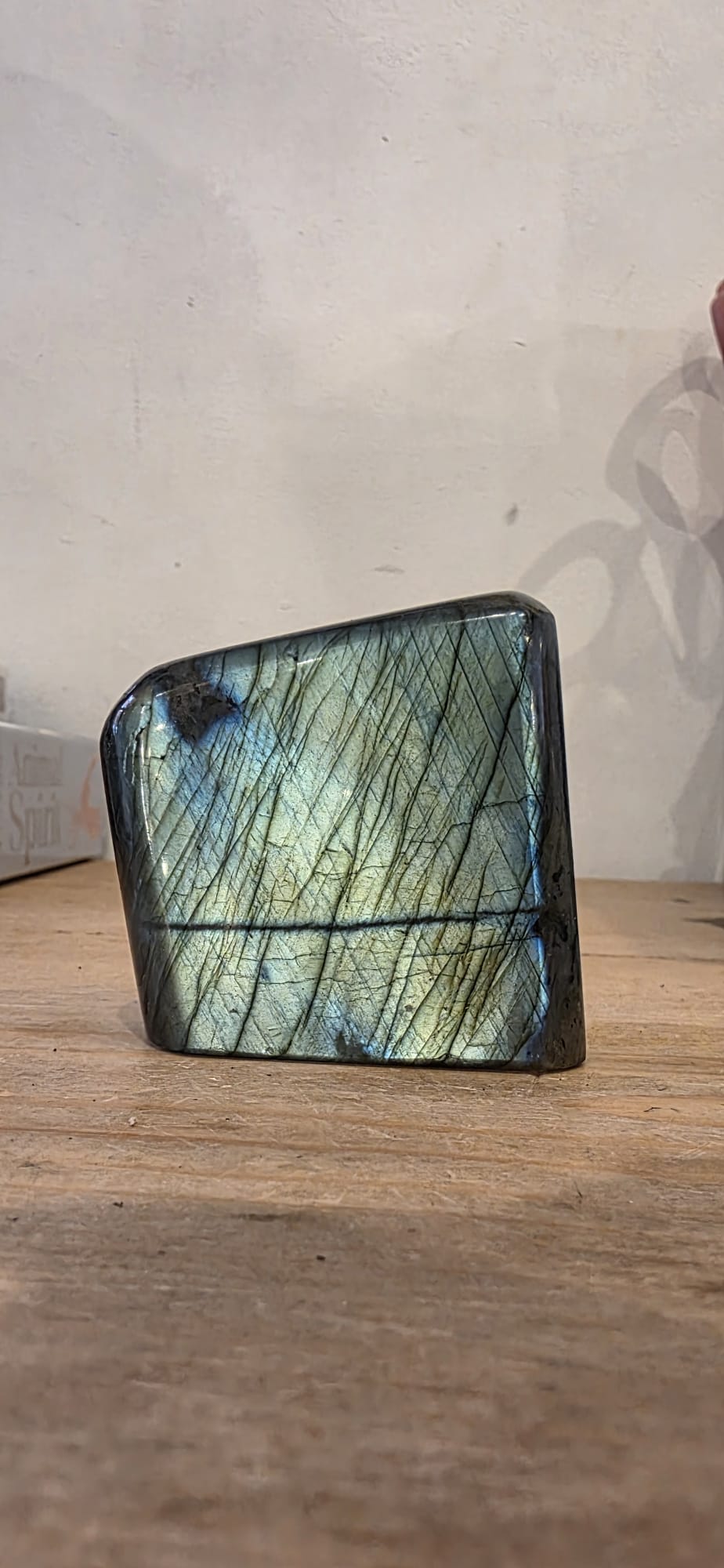 Labradorite Freeform (295g)