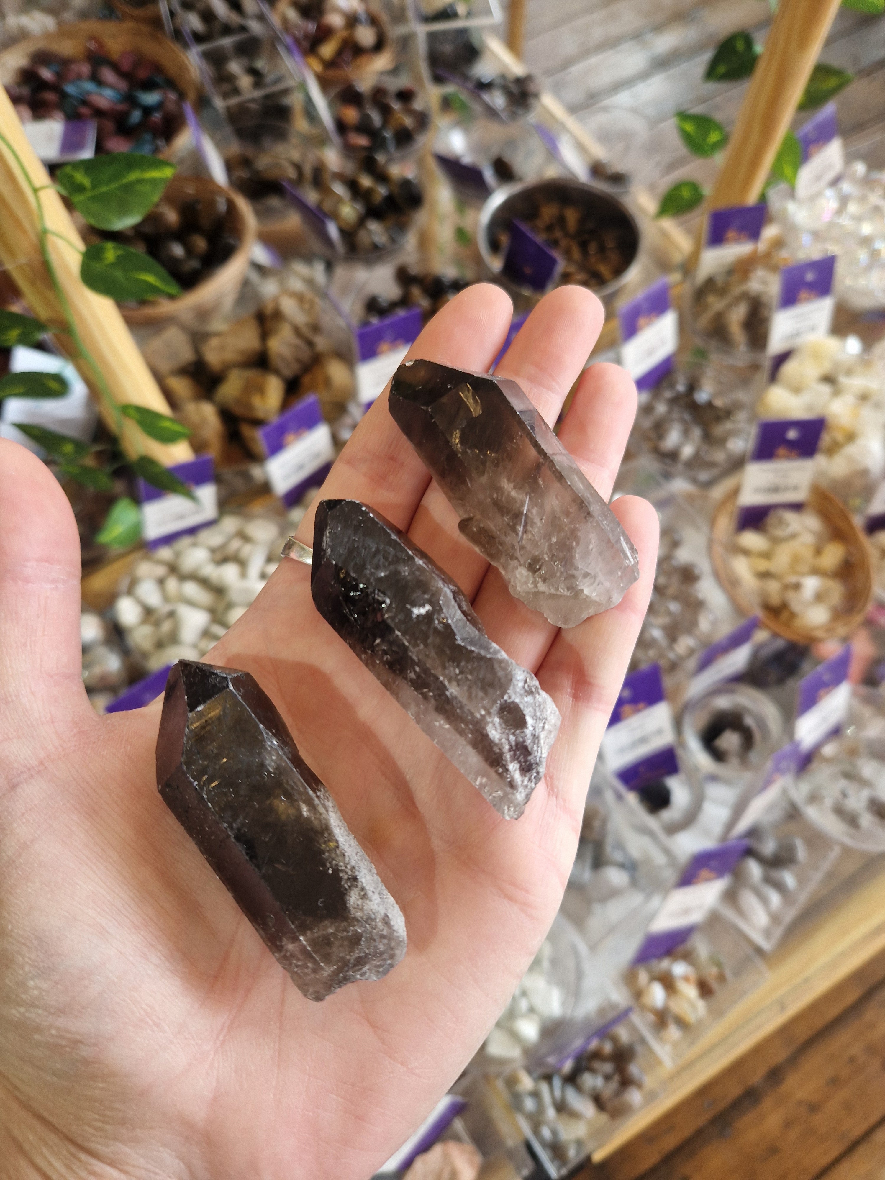 Smokey Quartz Points