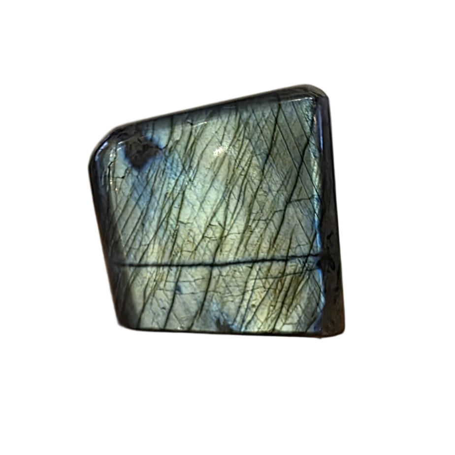 Labradorite Freeform (295g)