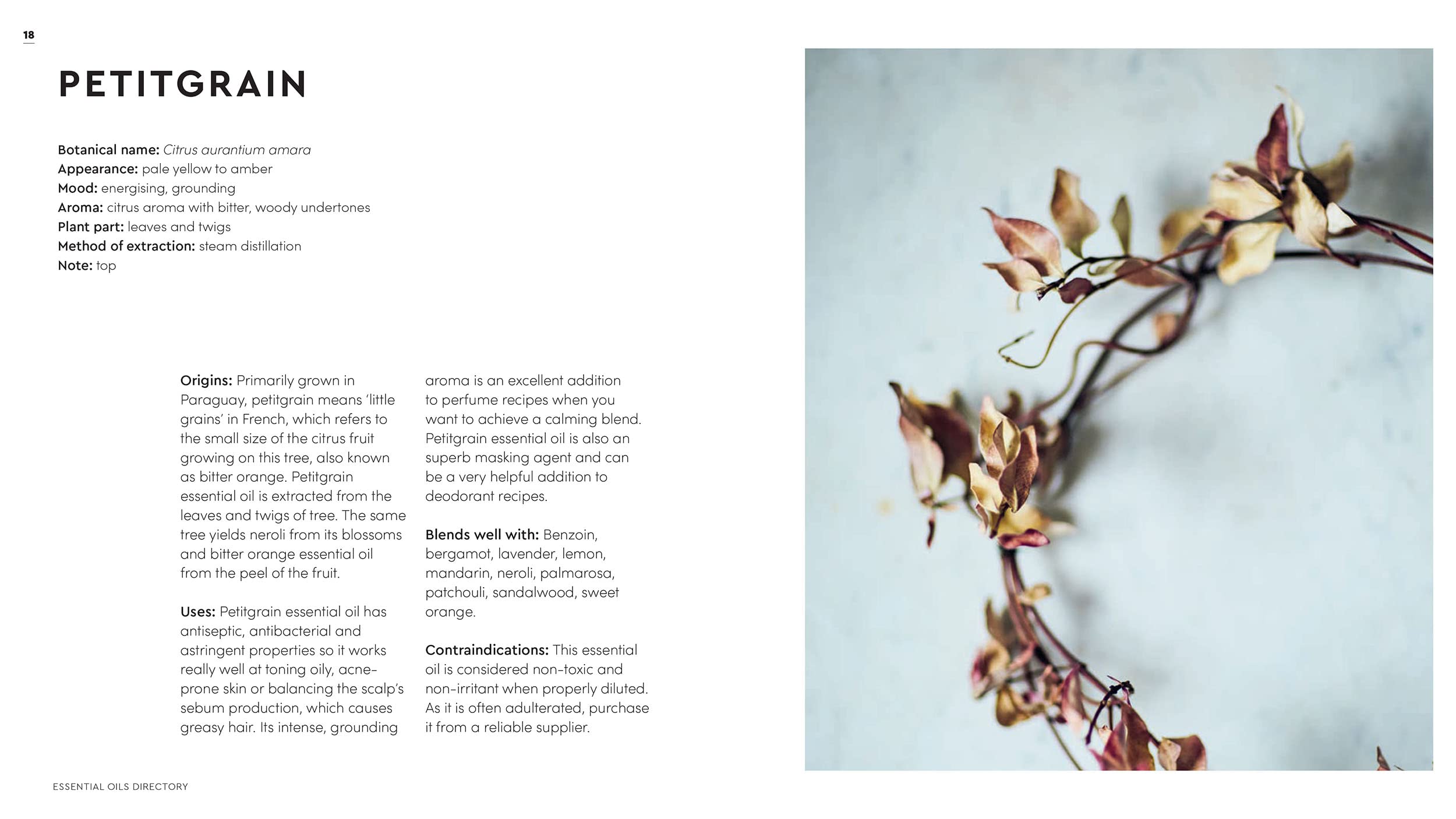 The Little Book Of Essential Oils